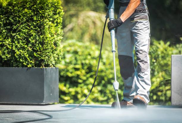Best Roof Cleaning and Mildew Removal in Alexandria, MN