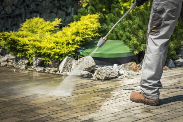 Best Gutter Cleaning and Brightening in Alexandria, MN