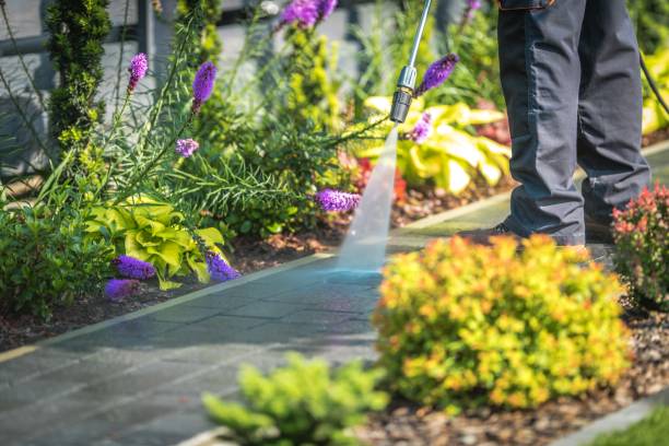 Best Concrete Surface Cleaning in Alexandria, MN