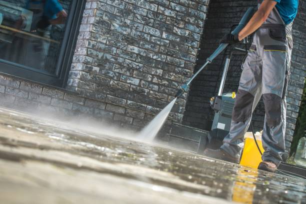 Best Driveway Cleaning and Restoration in Alexandria, MN