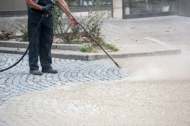 Best Residential Pressure Washing in Alexandria, MN