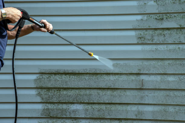 Best Deck and Patio Pressure Washing in Alexandria, MN